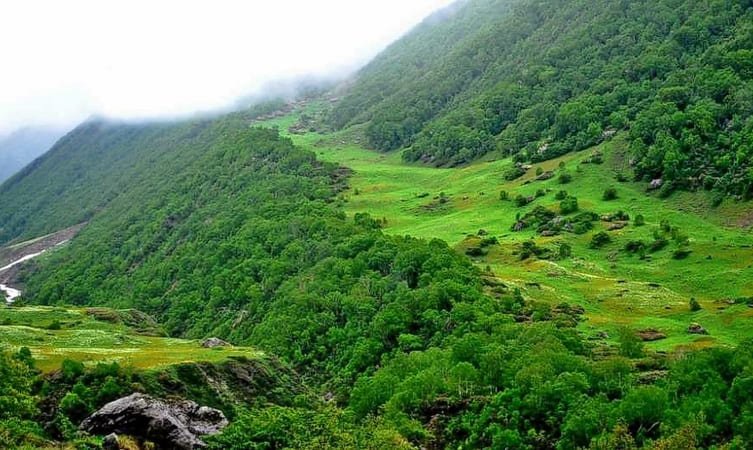 Nanda Devi National Park